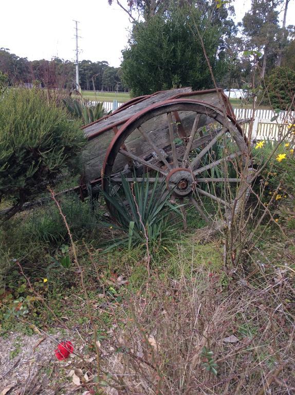 Snowy River Lodge Motel Orbost Luaran gambar